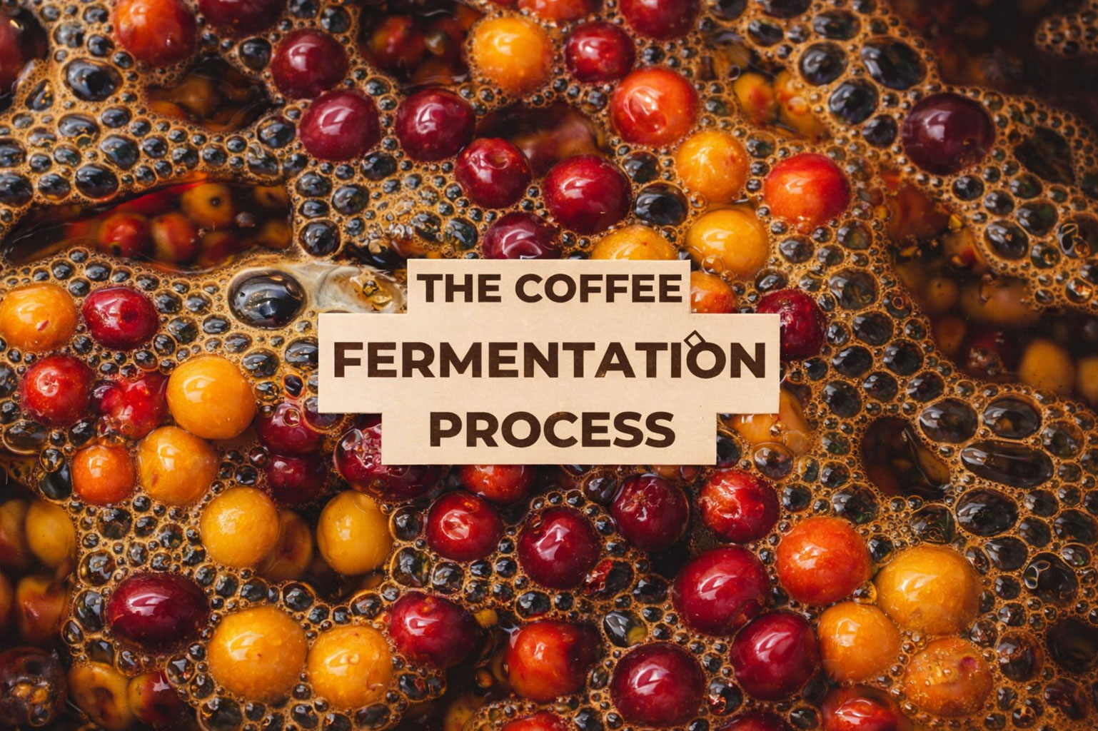 mibica-commodities-coffee-product-image